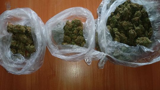 Posiadał prawie 150 g mariuhuany 