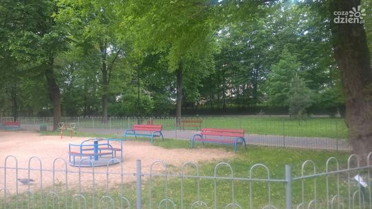 Postępująca degradacja parku Planty?