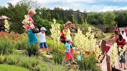 Poszukiwania małego Bulwiaka!