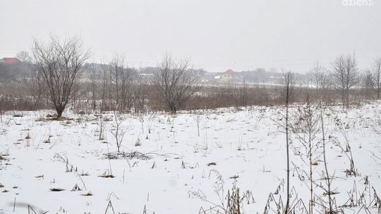 Potężna polska firma zainwestuje na Brzustówce?