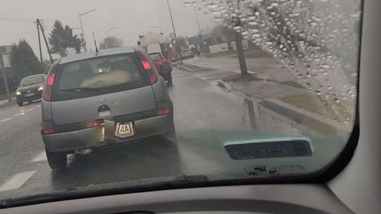 Potrącenie 12-latki przy ul. Słowackiego 