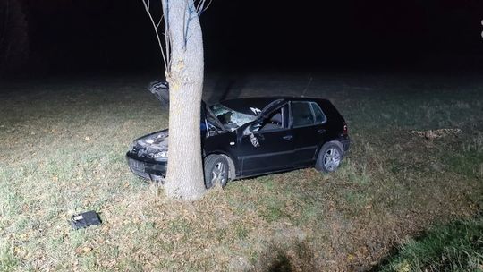 Potrącenie łosia. Zwierzę niestety nie przeżyło