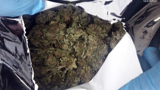 Powiat kozienicki. 29-latek aresztowany za narkotyki 