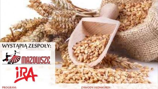 Powiatowe święto plonów w Taczowie