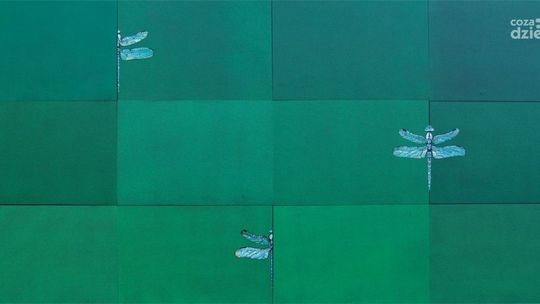 Powiedzieć obrazem - wystawa w Łaźni