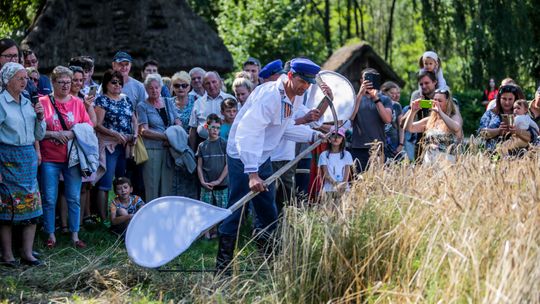 Powrót do żniw sprzed lat – Jastrzębia zaprasza na wyjątkową inscenizację!
