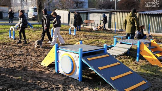 Powstał wybieg dla psów w Kozienicach