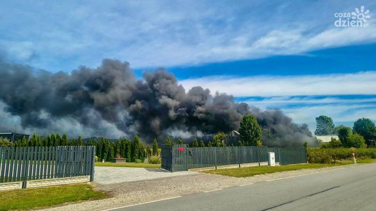 Pożar w Woli Soleckiej Drugiej. Ogień z samochodu przeniósł się na budynki gospodarcze
