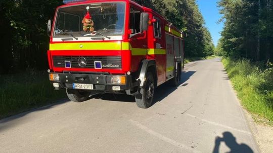 Pożar we Wrzosie pod Przytykiem 