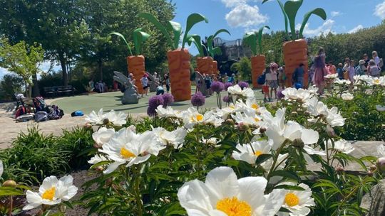 Poznaj świat Bulwiaków