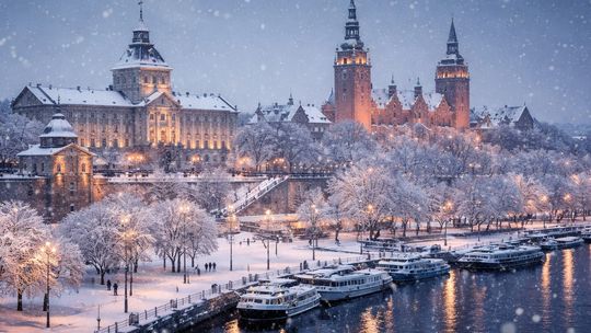 Pozycjonowanie stron w Szczecinie