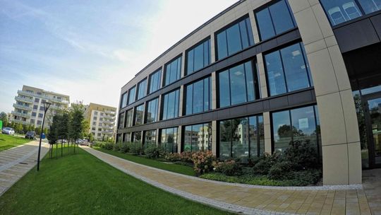 Praca w międzynarodowej firmie