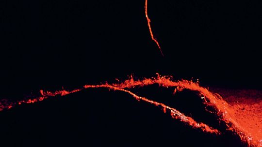 Prace Abakanowicz w Orońsku