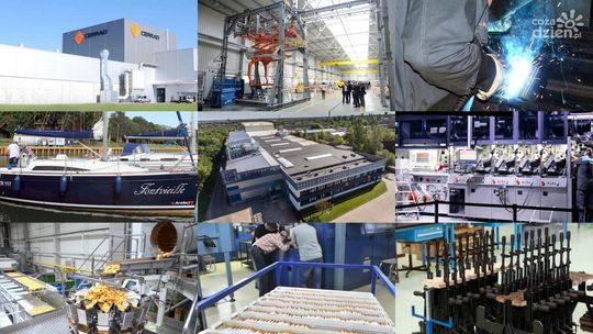 Pracodawcy chętnie sięgają po wsparcie. Zobacz najnowsze statystyki 