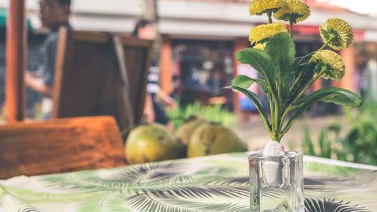 Praktyczne dodatki do ogrodu - co warto mieć?