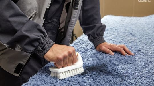 Pranie dywanów krok po kroku – jak przebiega profesjonalna usługa?