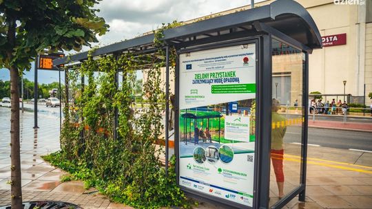 Prawie 100 aktów wandalizmu