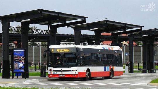 Prawie 30 nowych autobusów wyjedzie na radomskie ulice
