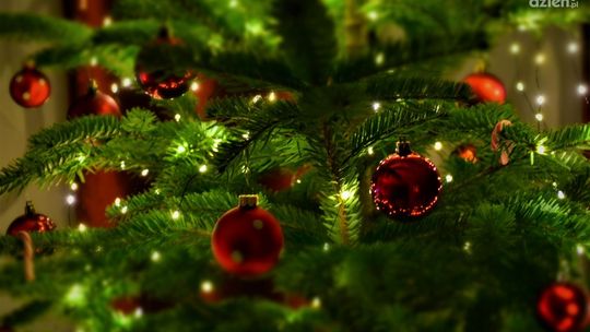 Prezent na święta w formie przeżycia — zapewnij dziecku niezapomniane wrażenia!