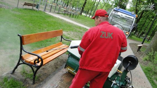 Problem ptasich odchodów w radomskich parkach