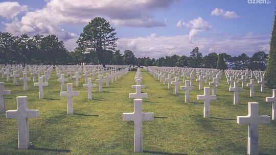 Profesjonalna opieka nad grobami