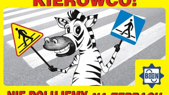 Profilaktyczna akcja Policji