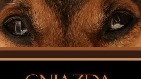 Promocja „Gniazd”