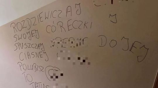 Propagator pedofilii zatrzymany. Usłyszał zarzuty