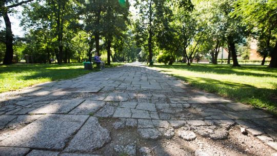 Przebudowa alejki w parku na Plantach