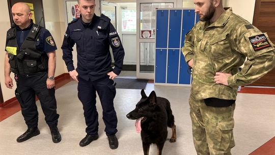 Przed maturą szukali bomb. Na wszelki wypadek