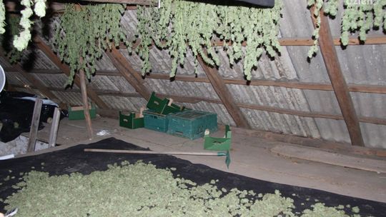 Przejęto narkotyki o wartości min. 3 mln zł!