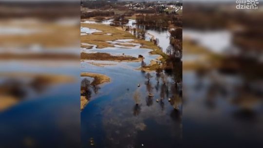 Przekroczony stan ostrzegawczy w Pilicy [wideo]