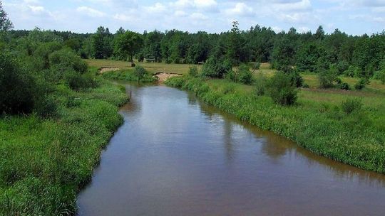Przepłynął Radomkę wpław uciekając przed policją Przepłynął Radomkę wpław uciekając przed policją
