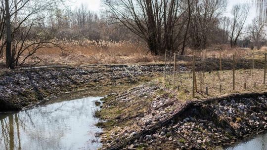 Przetarg na projekt Parku Kulturowego ogłoszony