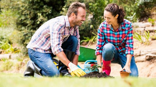 Przewodnik po środkach ochrony roślin: Co wybrać i kiedy stosować?