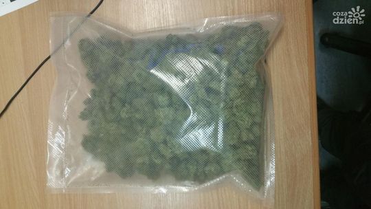 Przewoził i handlował narkotykami