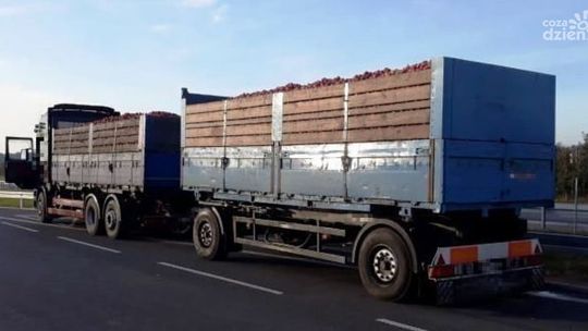 Przewoził za dużo jabłek. Dostał 2 tys. zł kary