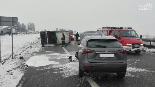 Przewoził źrebaki zderzył się z Lexusem