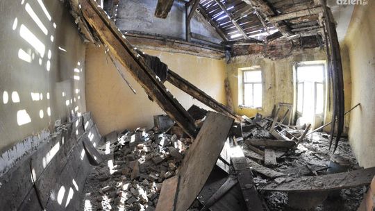 Przy Dzikiej  żyją w nieludzkich warunkach!