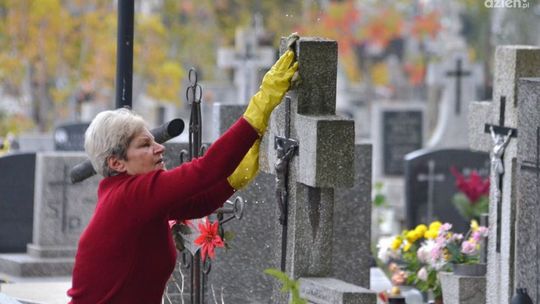 Przygotowania przed 1 listopada