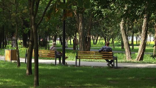 Przyjdź na piknik i zobacz nowy park na Michałowie