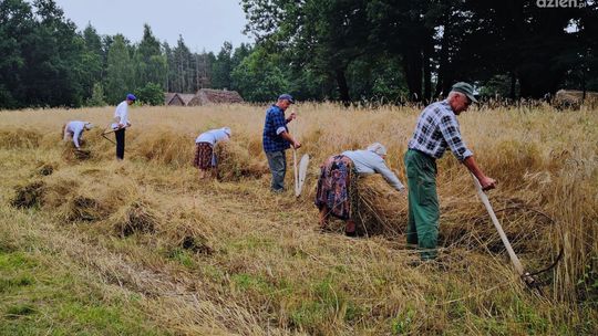Przyjdź na widowisko pt. „Żniwa”