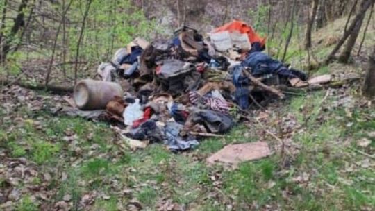 Przyłapana na wyrzucaniu śmieci do lasu