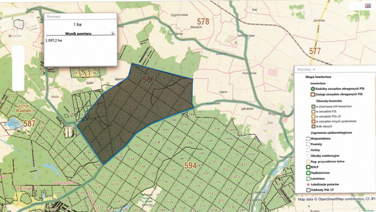 Przysucha. Akcja poszukiwania padłych dzików