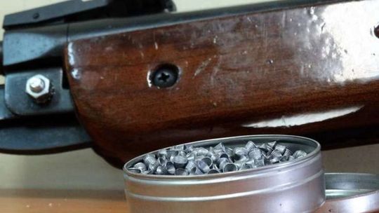 PRZYSUCHA. Strzelał do psa