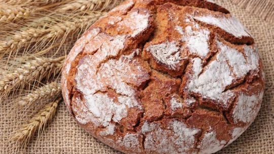 Przysucha. Znamy miejsce i termin dożynek