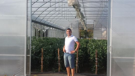 PRZYTYK: Do Szczecina za paprykę