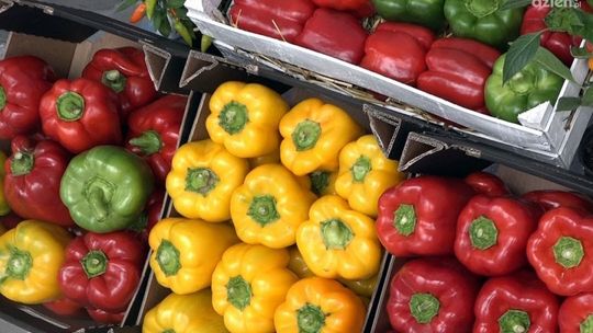 Przytyk. Szkolenie dla producentów papryki