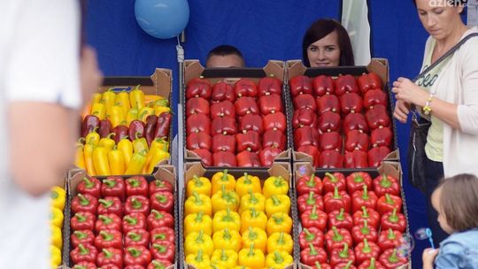 Przytyk. Szkolenie dla producentów papryki