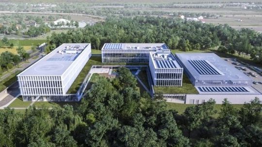 PSE ogłosiły przetarg